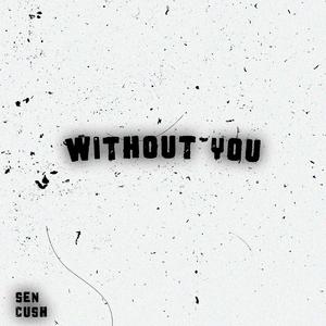 Without You (feat. Cush)