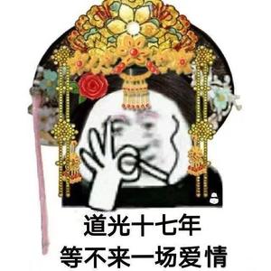 梅坞寻茶
