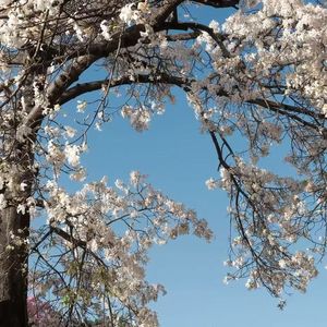 记得爱自己（Prod.by Stephenday）