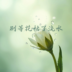 别等花枯了浇水