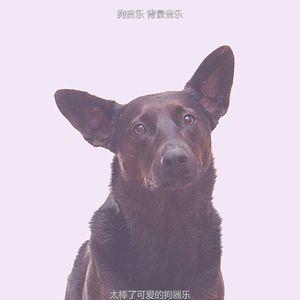 微妙的训练犬心情