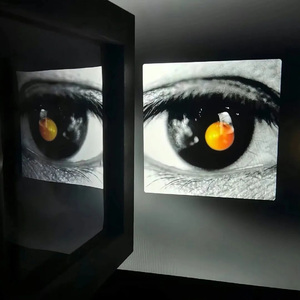 你看这世界开满了花