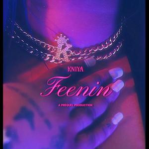 feenin