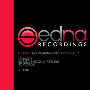 No Meaning Only Feeling