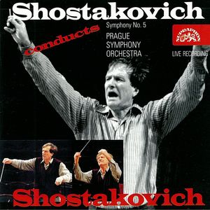 Symphony No. 5 in D Minor, Op. 47:II. Allegretto