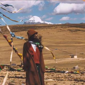 你就不要想起我