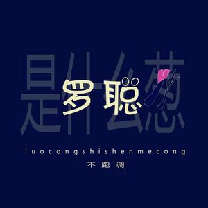 罗聪是什么葱（薛之谦粉丝版）