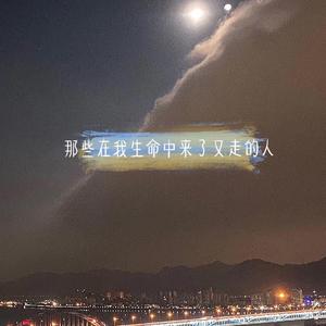 那些在我生命中来了又走的人(钢琴曲)