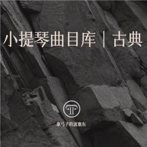 里丁--B小调小提琴协奏曲第二号 第一乐章