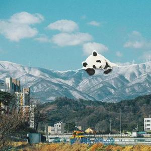 至此流年各天涯