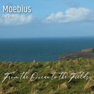 From the Ocean to the Fields (feat. orni)