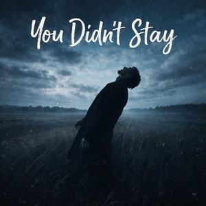 You Didn't Stay
