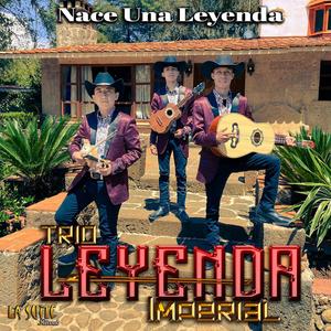 Sinverguenza