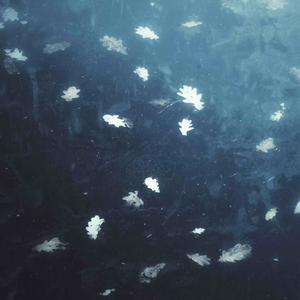 未命名的八音盒