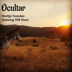Ocultar (feat. TOR Music) (Radio Edit)