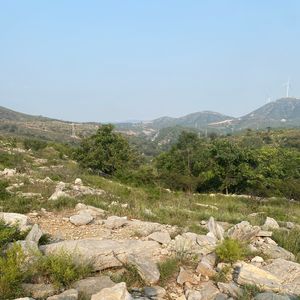 爱怎言痛的纯音乐 (19)