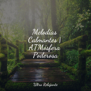 Crepúsculo Afuera
