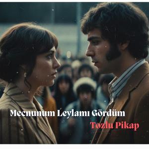 Mecnunum Leylamı Gördüm