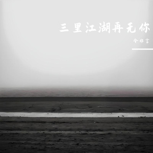 三里江湖再无你