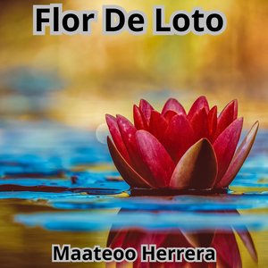Furia de hierro