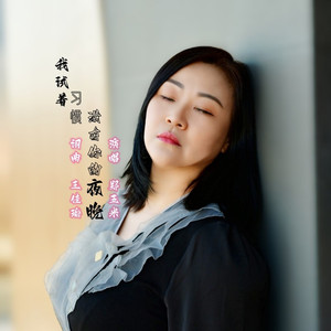 我试着习惯没有你的夜晚