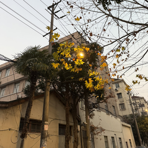 你说的永远成泡影