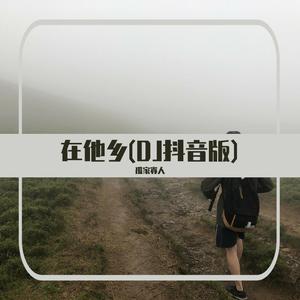 在他乡(抖音热播版)