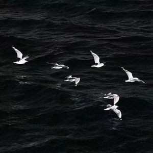 唯一（吉他弹唱版）