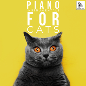 Cat Stres Relief Piano