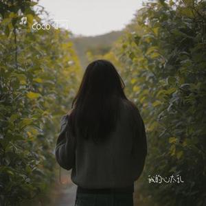 我的心太乱（Cover 周传雄）