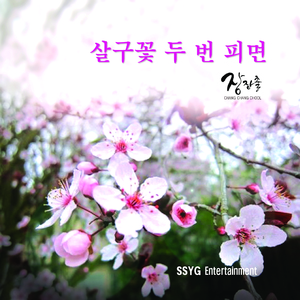 살구꽃 두 번 피면(MR)