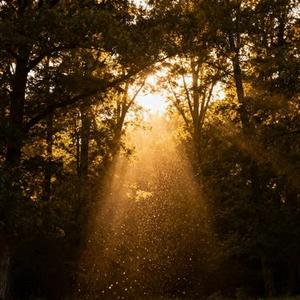 我曾遇到一束光 (Cover 张紫宁)