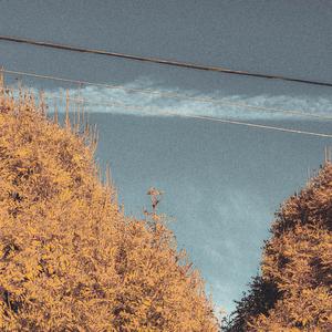 More Questions Than Answers