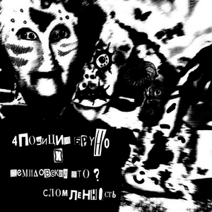 Ворованные Китайские Куртки