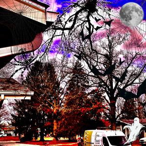 Beauty In The Darkness