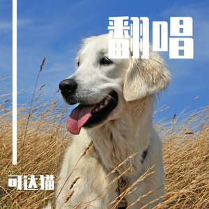 我们的爱（翻唱）