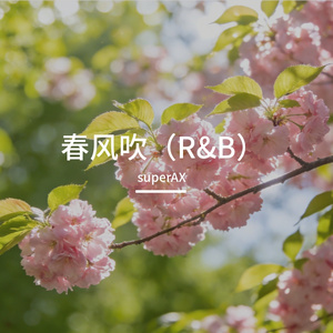 春风吹 (R&B)