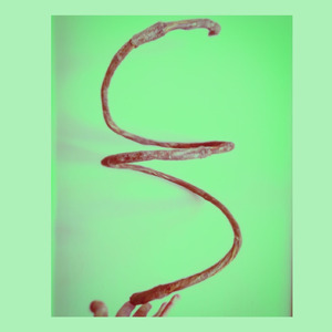 A Dança do Universo