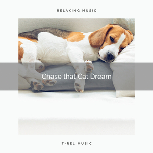 The Gentle Bird Calls of Pure Relax