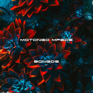 Bongos