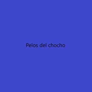 Pelos del Chocho