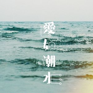 张信哲-爱如潮水（王展鹏 remix）