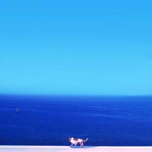 情歌 (Cover 简弘亦)