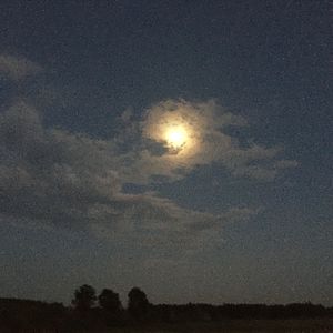 心臓を捧げよう