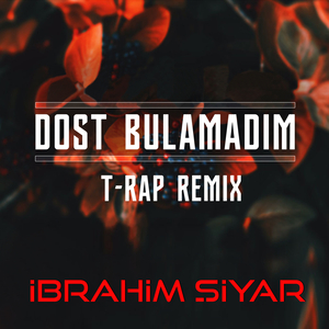 Dost Bulamadım (T-Rap Remix)