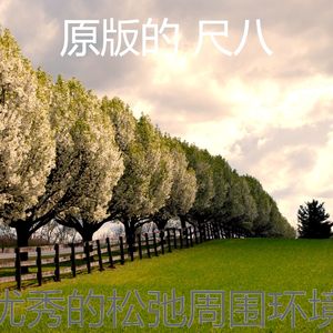 安静的松弛声音
