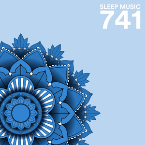 Inutition Guide 741 Hz