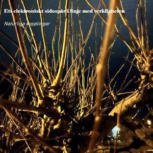 Naturliga kopplingar II