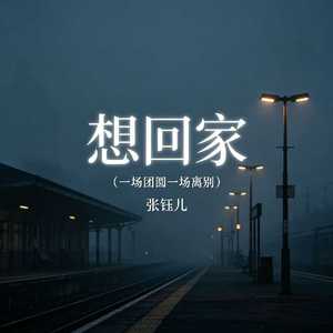 想回家(一场离别一场团圆)