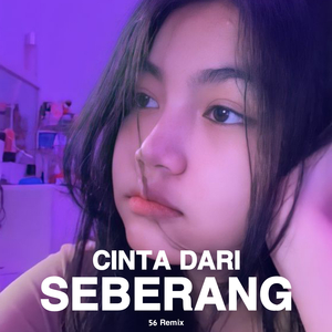 Cinta Dari Seberang